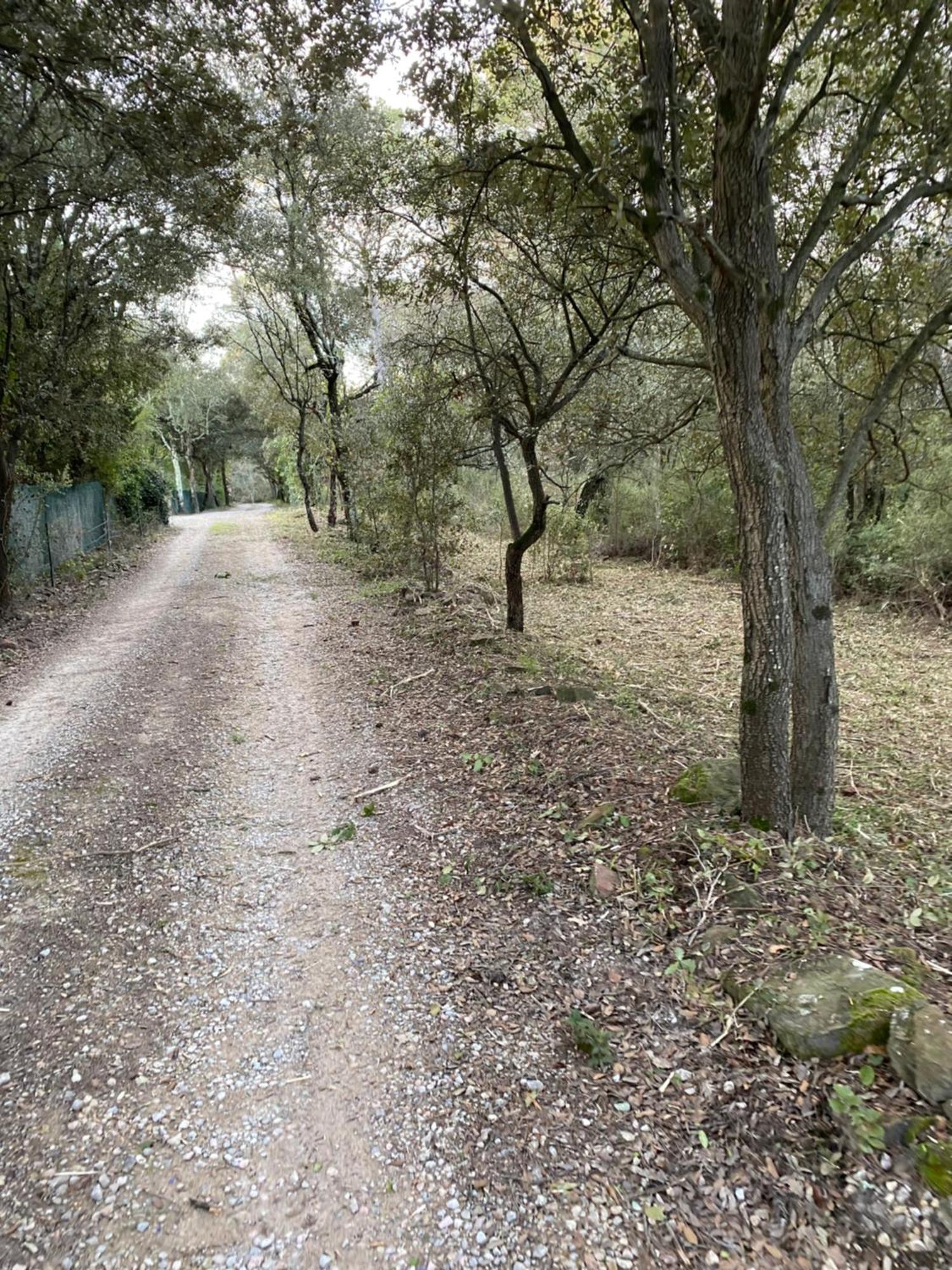La Villa Le Cannet-des-Maures Kültér fotó