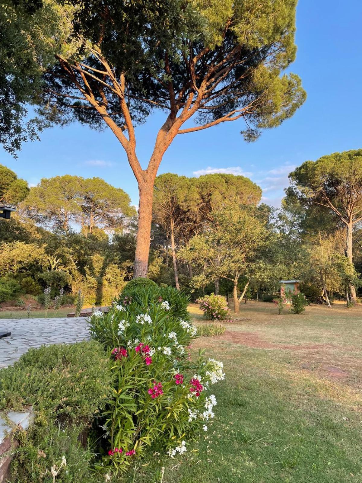 La Villa Le Cannet-des-Maures Kültér fotó