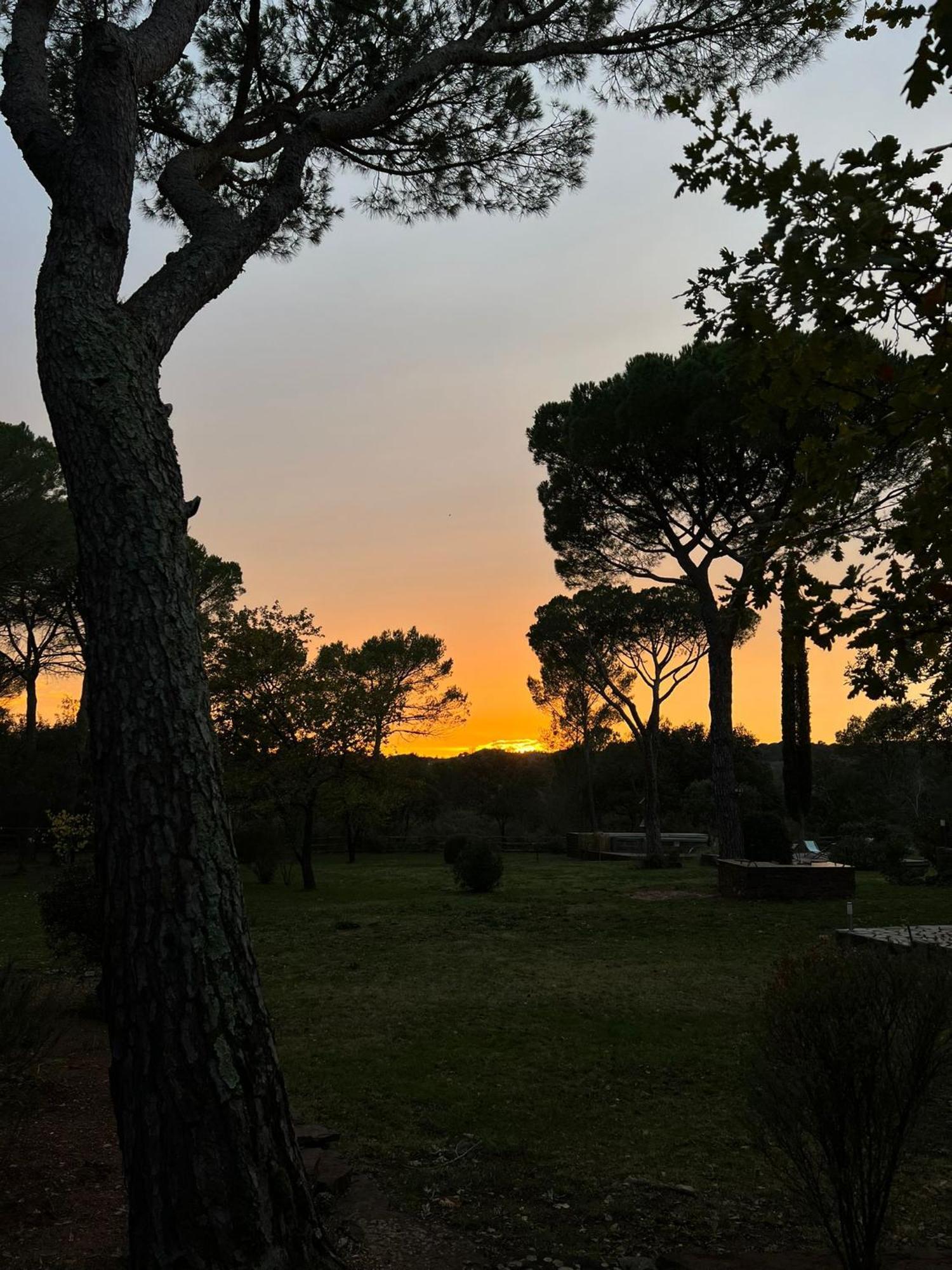 La Villa Le Cannet-des-Maures Kültér fotó